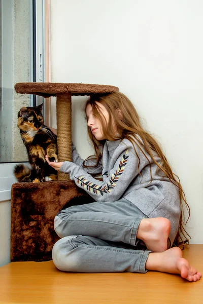 Tiener Meisje Spelen Met Huiselijke Bastaard Kat Een Gezellige Thuis — Stockfoto