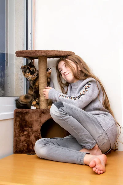 Teenage Ragazza Giocare Con Domestico Mongrel Gatto Accogliente Casa Ambiente — Foto Stock