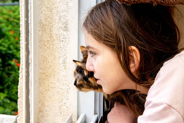 Ragazza Adolescente Gatto Domestico Sedersi Guardare Fuori Windo — Foto Stock