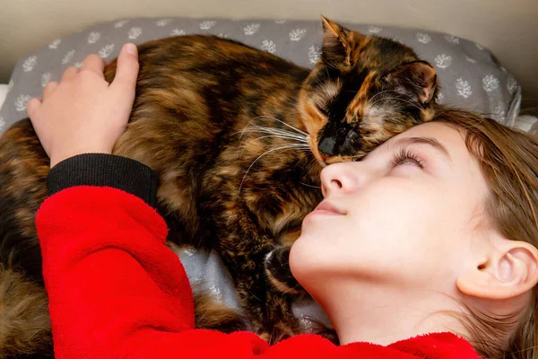 Adolescente Pigiama Rosso Che Dorme Cuscino Con Gatto Domestico — Foto Stock