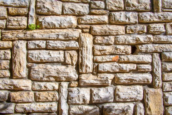 Stone wall texture. Stone wall as background or texture. a green plant sprouted on the wall.Part of a stone wall, for background or texture