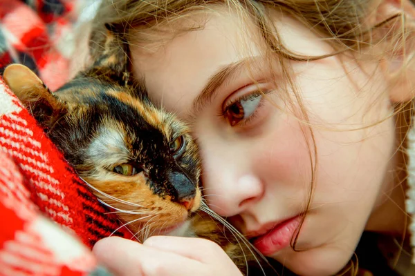 Goed Verzorgd Outbred Driekleurig Jong Katje Een Glimlachend Mooi Meisje — Stockfoto