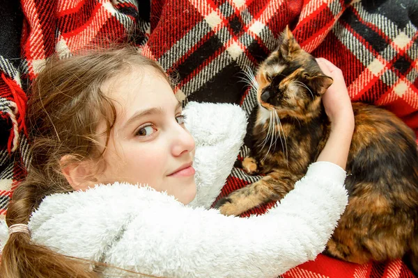 Goed Verzorgd Outbred Driekleurig Jong Katje Een Glimlachend Mooi Meisje — Stockfoto