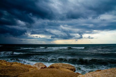 İsrail 'in eski Jaffa kentindeki eski bir fenerde iki meraklı karga oturuyor.