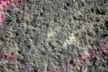 Eski kağıt ve alçıyla kaplı gri bir duvarın dokusu, stil grunge, metin için boşluk, polis için boşluk