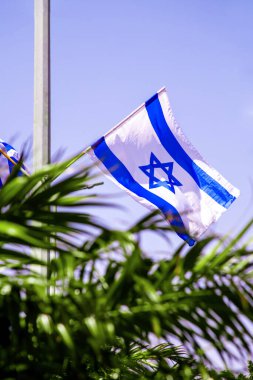 Direkte ve palmiye ağacında İsrail Devleti 'nin beyaz-mavi bayrağı