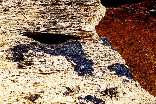 Kawałki Ropy Utknęły Skałach Morza Śródziemnego Izraelu Katastrofa Ekologiczna — Zdjęcie stockowe