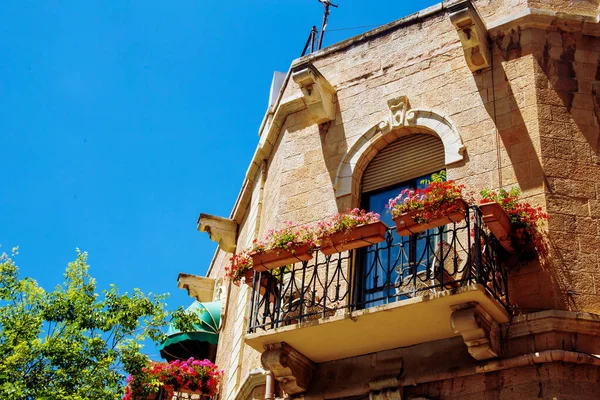 Balcony Decorated Pots Bright Flowers Sunny Day Balcony Floristic Decoration — Photo