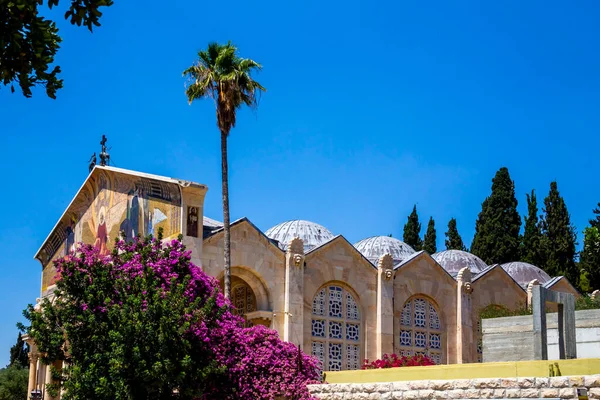 Uitzicht Kerk Van Alle Volkeren Tuin Gethsemane Olijfberg Jeruzalem Israël — Stockfoto