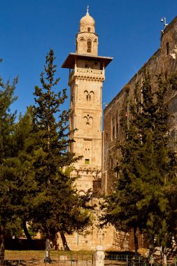 El-Ghawanimah Minaresi (Bani Ghanim Minaresi) ağaçların yaprakları arasında, Tapınak Dağı, Eski Şehir, Kudüs, İsrail.