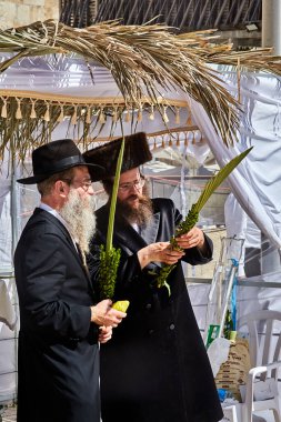 Kudüs, İsrail-2021, 22 Eylül: İsrailli hahamlar veya Ortodoks Yahudi erkekler Batı / Ağlama Duvarı veya Kotel yakınlarındaki Sukkah 'ta lulav ve etrog Sukkot tutuyorlar. Sukkot 'un isimlerinden biri de Uluslar Festivali.