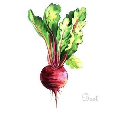 Renkli suluboya pancar