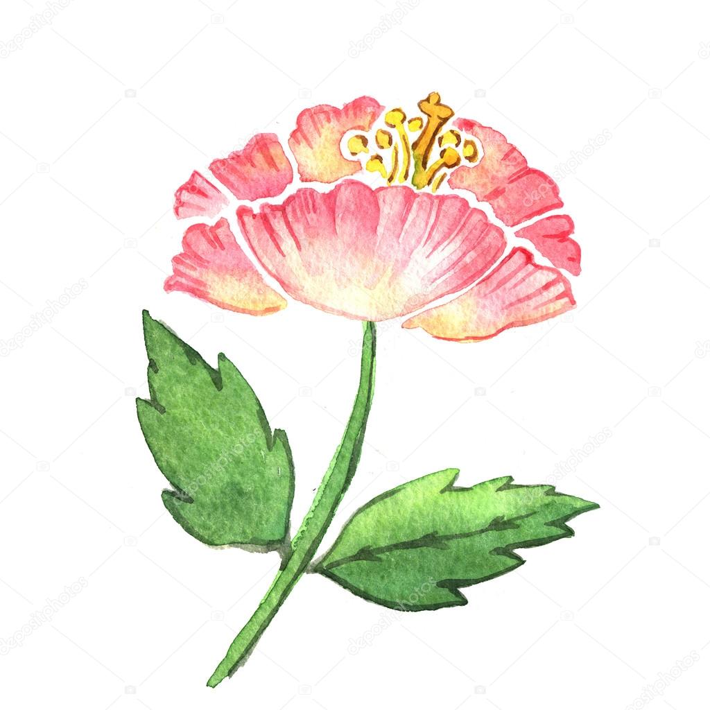 Watercolor stylized flower