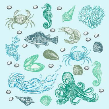 Deniz grafik sualtı desen.