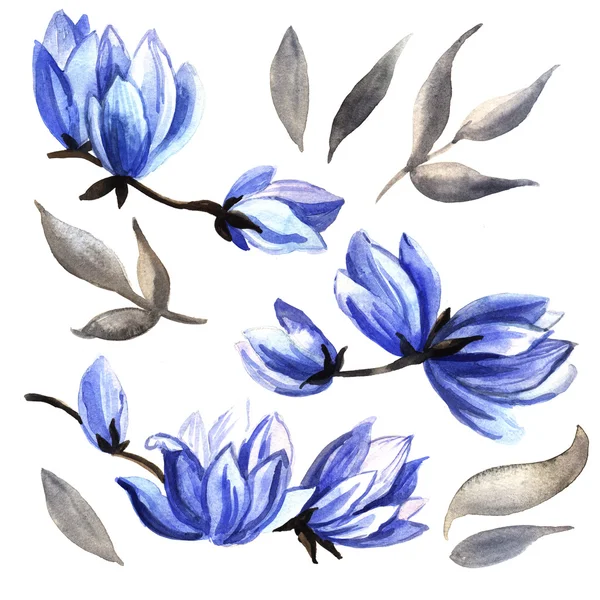 Watercolor blue flowers — Stock Photo, Image