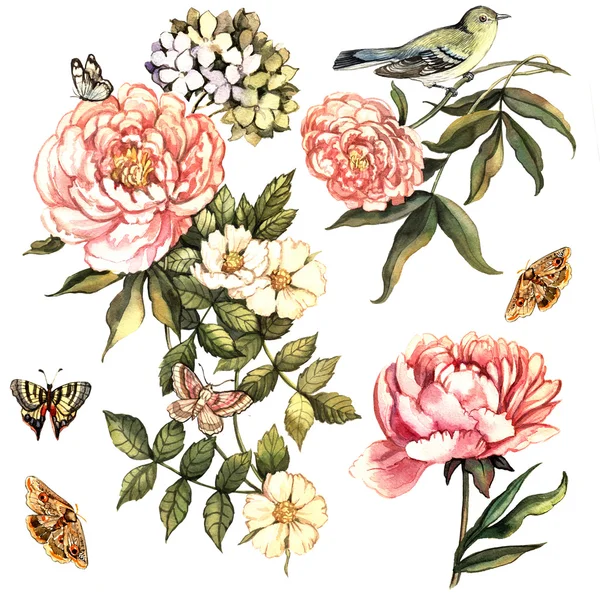 Floral set with bird butterflies — Stock Photo, Image