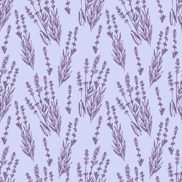 Patrón de lavanda gráfica . — Vector de stock