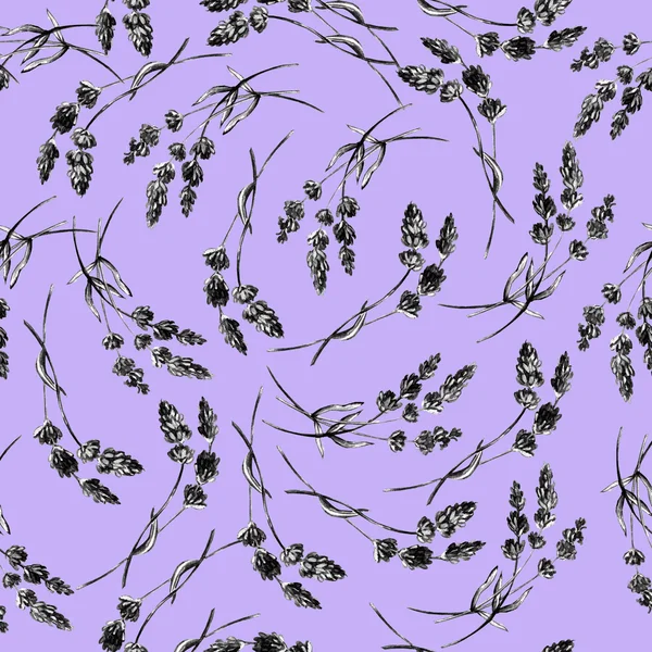 Aquarel patroon met lavendel — Stockfoto