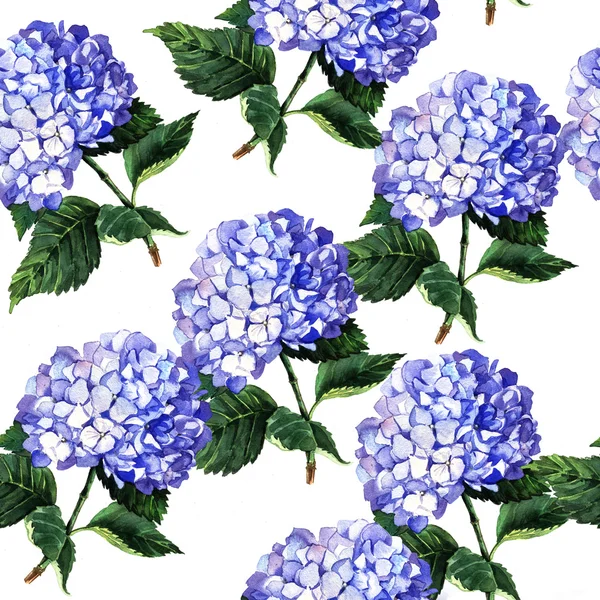 Modèle avec hortensia bleue — Photo