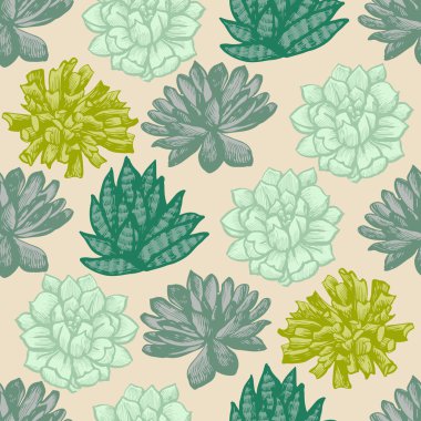 Succulents ile renkli dekoratif desen.