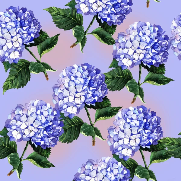 Decorative pattern with blue hydrangea — Stock Photo, Image