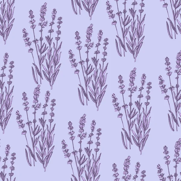 Patrón de lavanda gráfica — Vector de stock