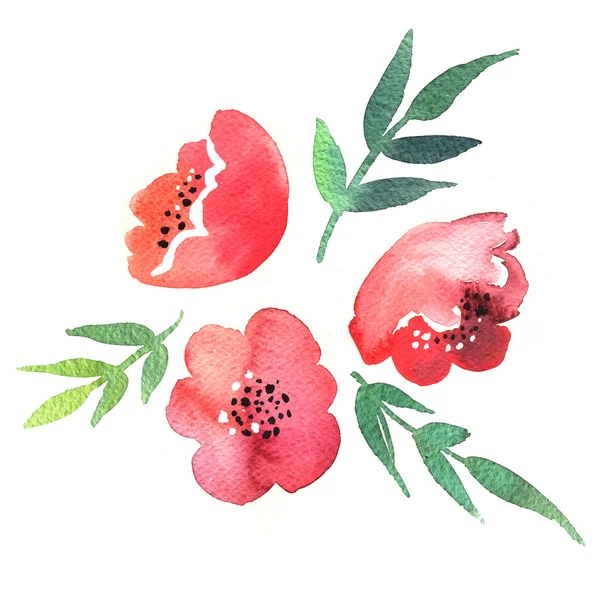 Watercolor red flowers — Stock Photo, Image