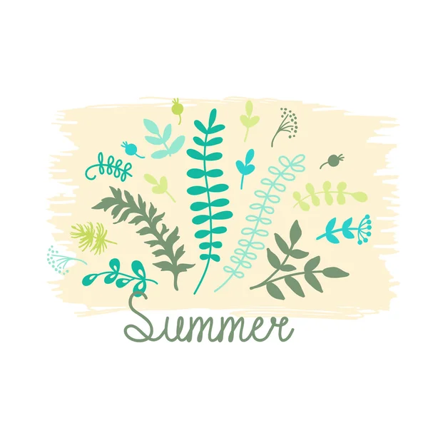 Kartu musim panas dengan herbal - Stok Vektor