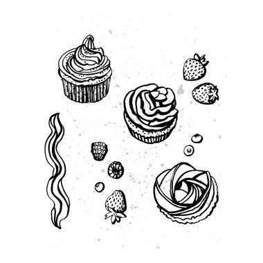 Kuşkonmazın grafiksel çizimi