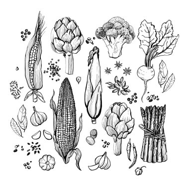 Sebzelerin grafiksel çizimi