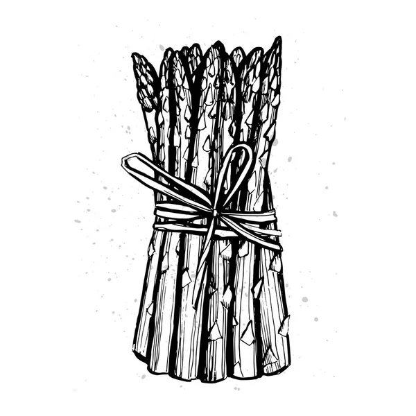 Illustrazione Grafica Asparagi — Vettoriale Stock