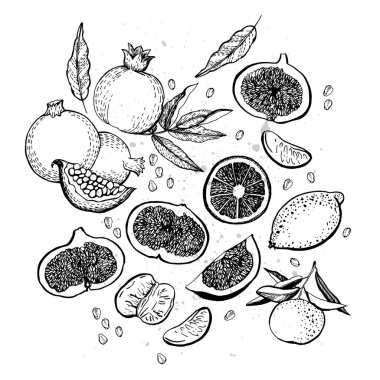 Beyaz üzerine grafiksel meyve seti