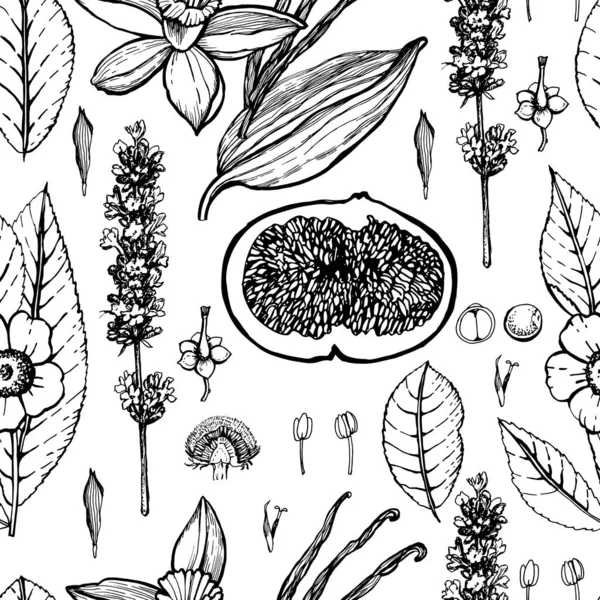 白のグラフィック植物模様 — ストックベクタ