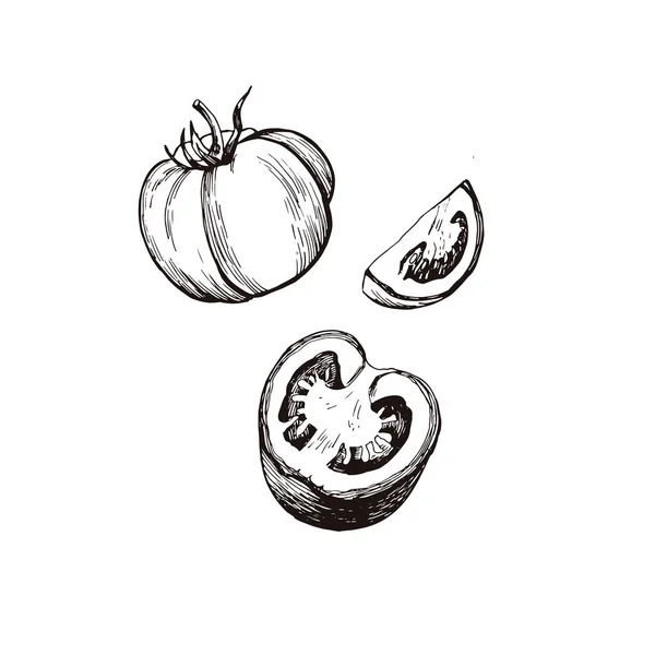 Ilustracja Graficzna Pomidorów Warzywa Dieta Wegetariańska Szkic Ręczna Grafika Ilustracja — Wektor stockowy