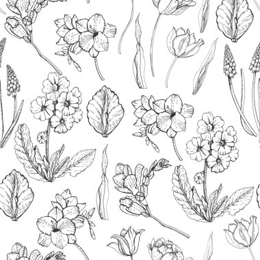 Grafik botanik desenli bahar çiçekleri 