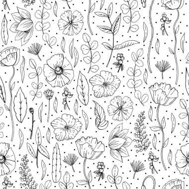 Çizimsel botanik çizimler kusursuz