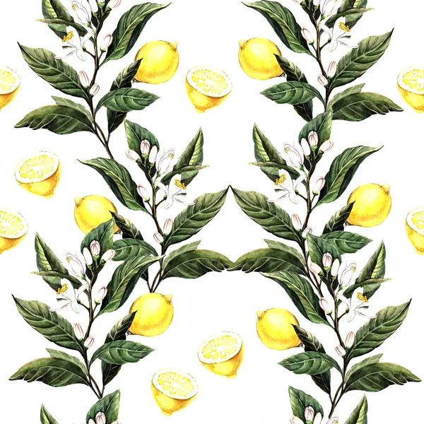 柠檬的水彩图案 — 图库照片