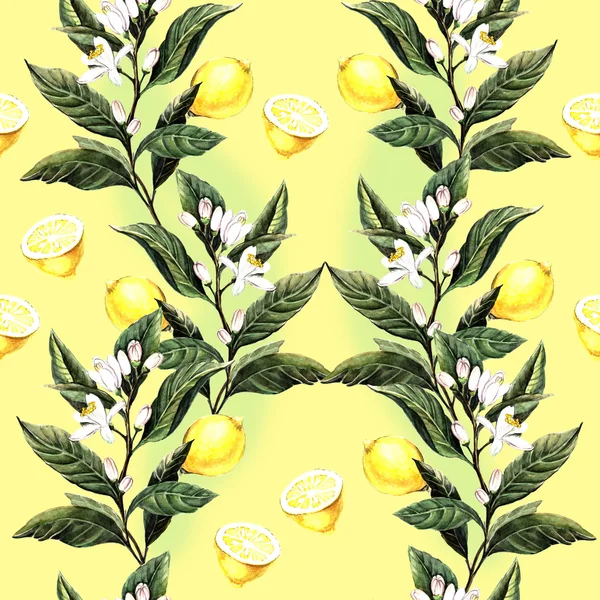 水彩无缝用柠檬做 — 图库照片