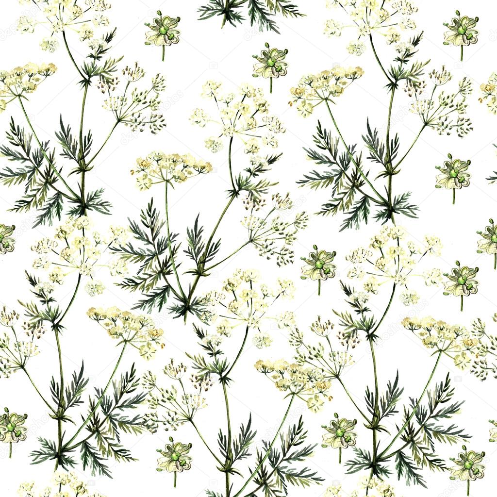 Watercolor pattern with herbs