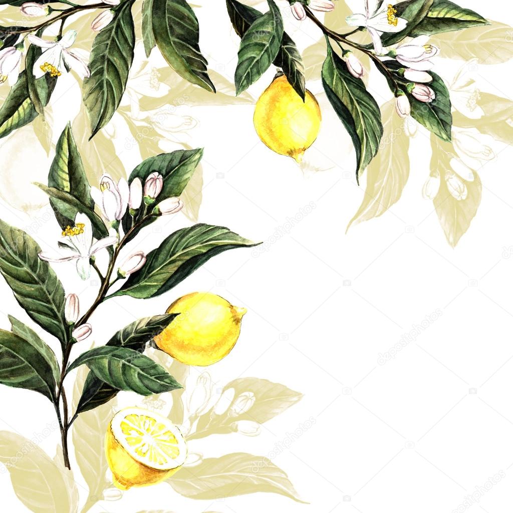 Watercolor background with lemons