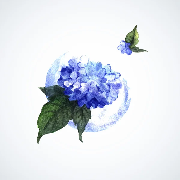 Acuarela hortensias azules — Vector de stock