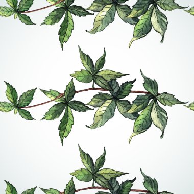 Ivy ile suluboya desen