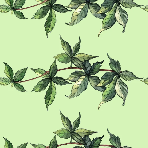Akvarel vzorek s ivy — Stockový vektor
