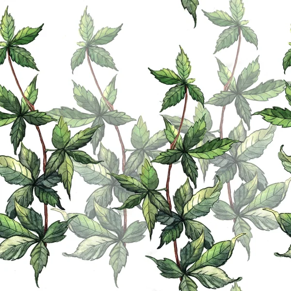 Шаблон с резными листьями плюща — стоковое фото