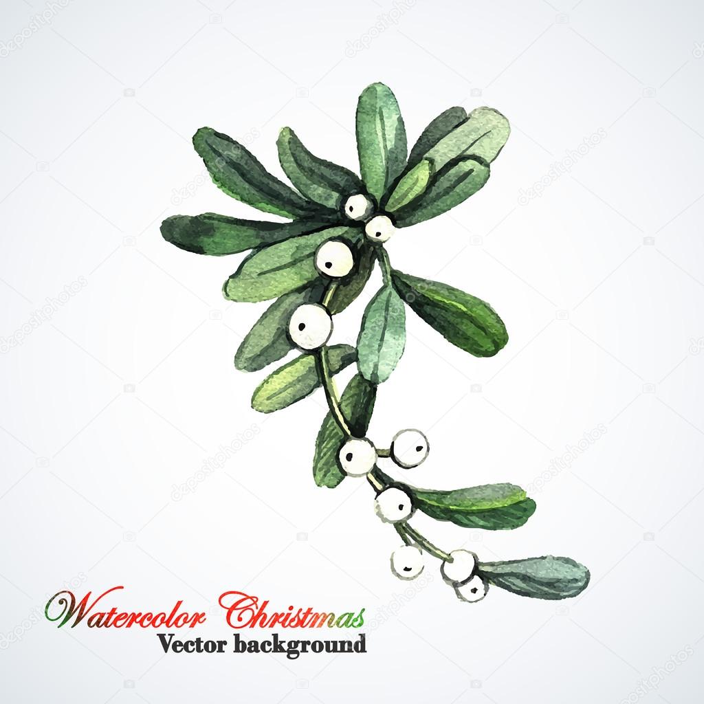 Christmas sprig of mistletoe. Stock Vector by ©Ann_art 55075121