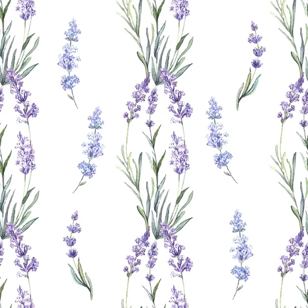 Acuarela Lavanda sin costura — Vector de stock