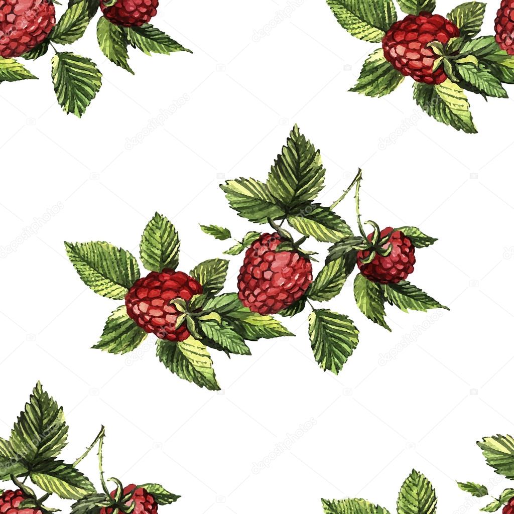 Watercolor pattern with raspberries