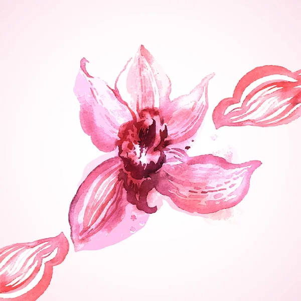 Orquídea rosa aquarela —  Vetores de Stock