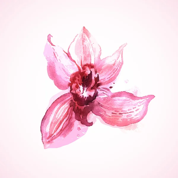 Orquídea rosa aquarela — Vetor de Stock