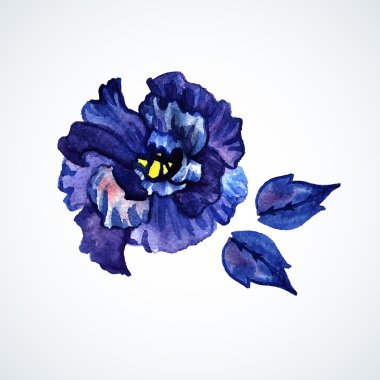 Suluboya mavi çiçek